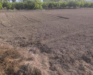 Finca rústica en venda en Sagunto / Sagunt