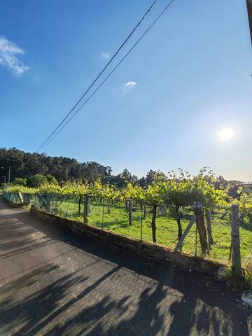 Terreno en Venta en Lugar Caxin, 4 en Meis
