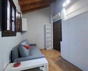 Living room of Study to rent in  Granada Capital