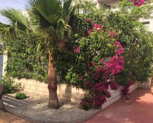 Jardí de Pis de lloguer en San Jorge / Sant Jordi amb Terrassa i Piscina