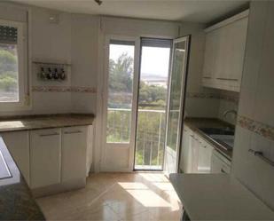 Kitchen of Flat to rent in Alcalá de los Gazules