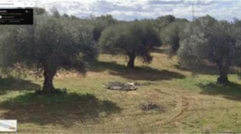 Photo 2 of Land for sale in Calle Avapies, 28, El Carpio de Tajo, Toledo
