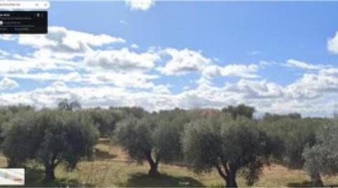 Photo 3 of Land for sale in Calle Avapies, 28, El Carpio de Tajo, Toledo