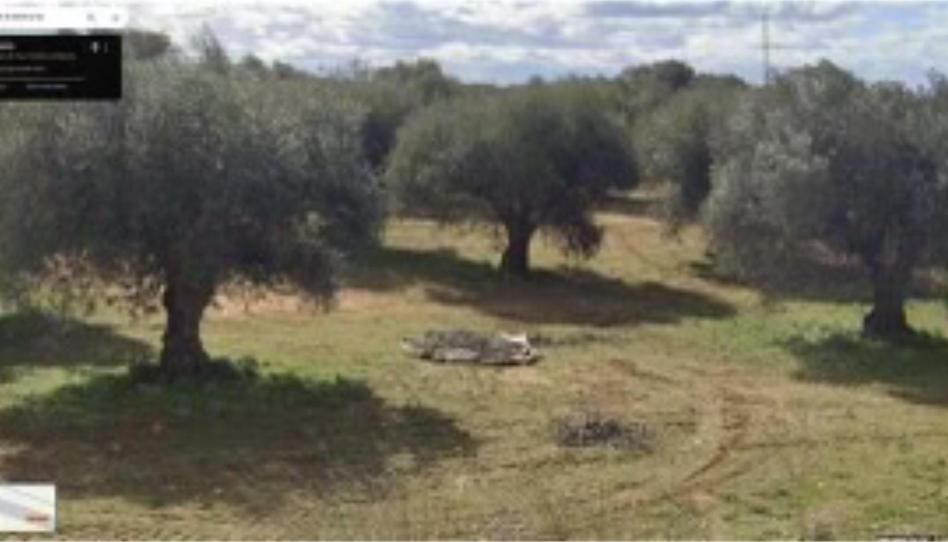 Photo 1 of Land for sale in Calle Avapies, 28, El Carpio de Tajo, Toledo