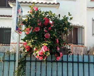 Jardí de Casa o xalet en venda en Plasencia amb Calefacció, Jardí privat i Terrassa