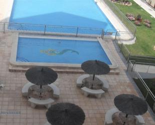 Swimming pool of Flat for sale in Alicante / Alacant  with Terrace, Swimming Pool and Balcony