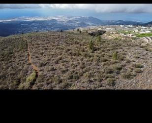 Non-constructible Land for sale in Vilaflor de Chasna