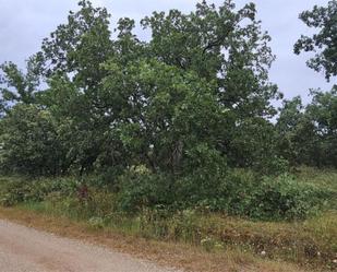 Land for sale in Fresno de Cantespino