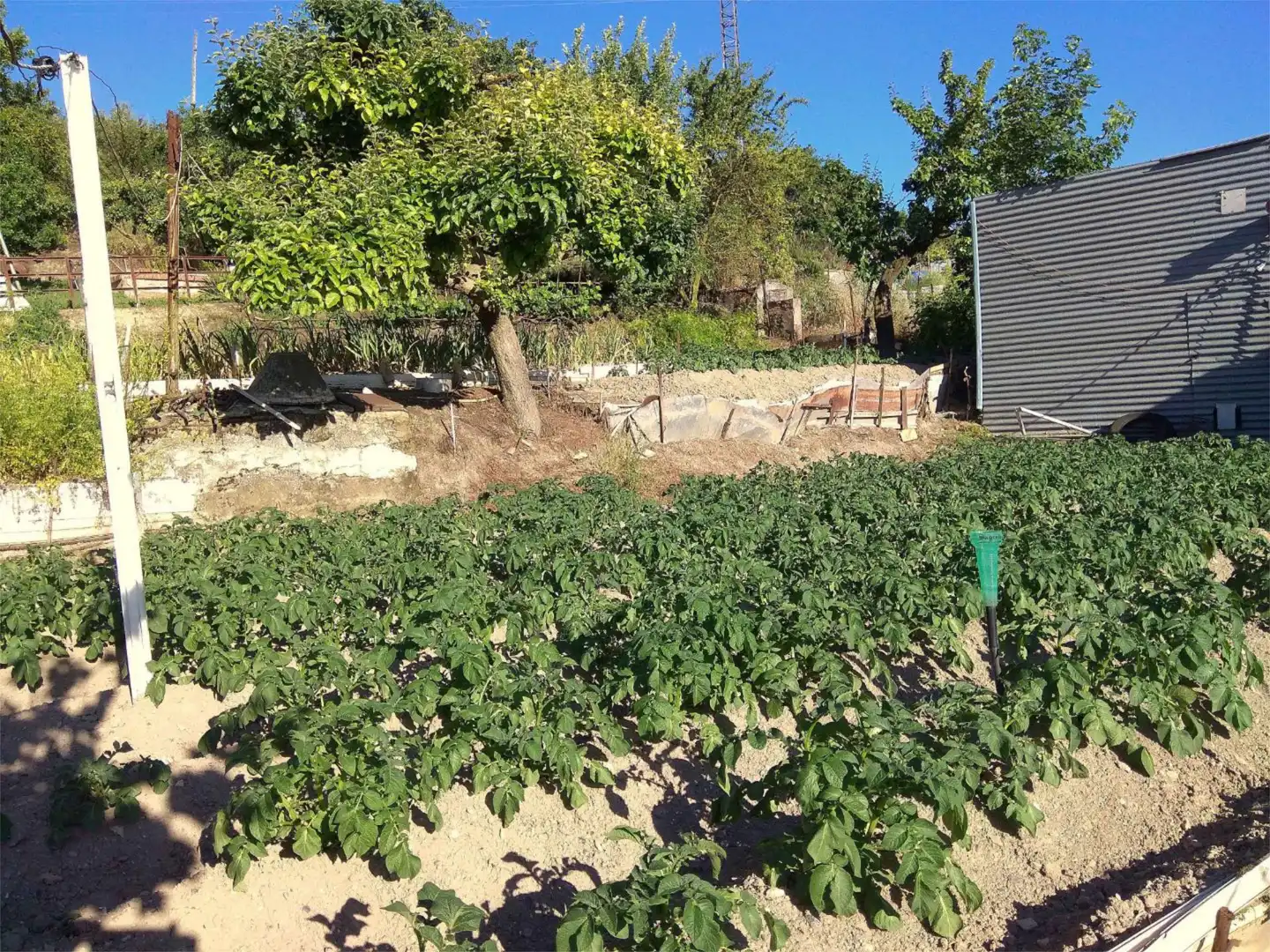 Ground floor for sale in Paseo de los Pisones, 149, San Agustín - Parque Europa Garden of Ground floor for sale in Burgos