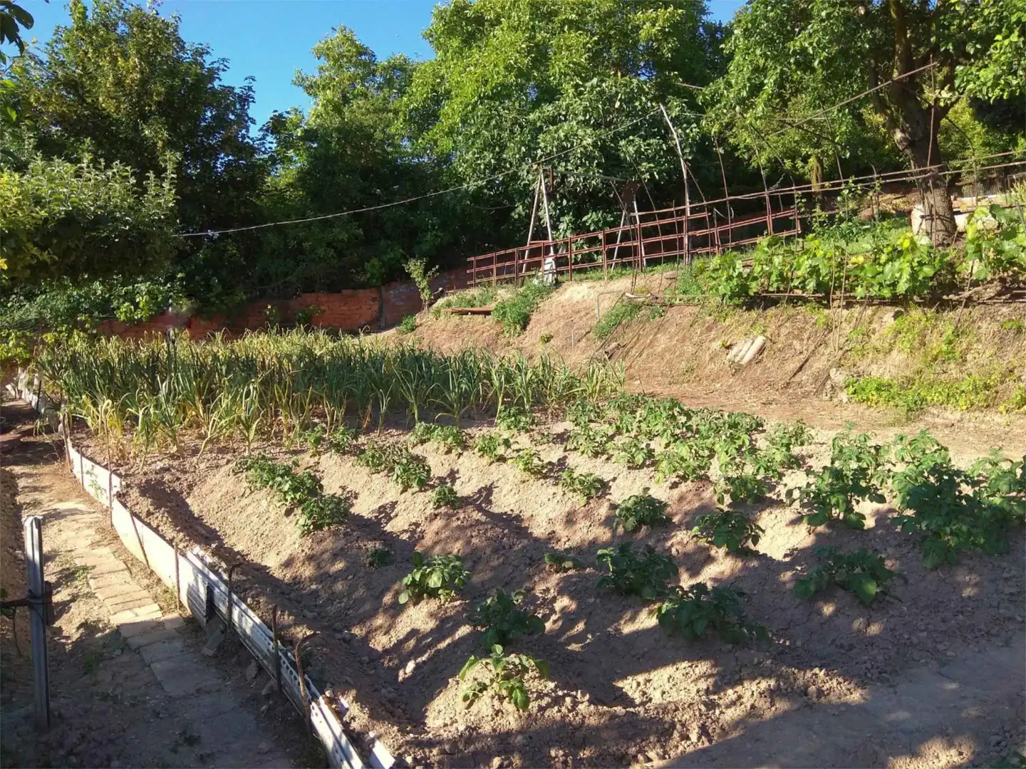 Ground floor for sale in Paseo de los Pisones, 149, San Agustín - Parque Europa Garden of Ground floor for sale in Burgos