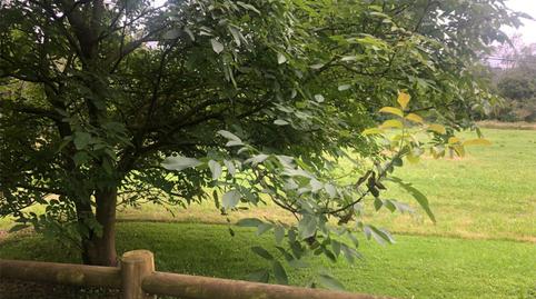 Land for sale in Barrio San Roque, 18, Carandía, Piélagos - image 4 Photo 4 of Land for sale in Barrio San Roque, 18, Carandía, Piélagos