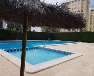 Piscina de Apartament de lloguer en Benicasim / Benicàssim amb Terrassa