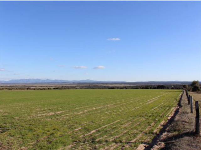 Terreno en Venta en N-620, 335 en Carpio de Azaba