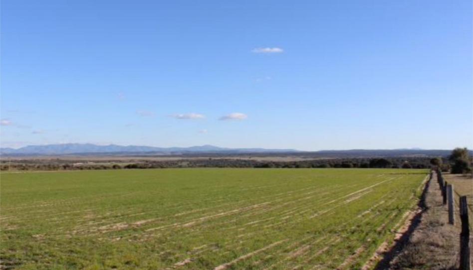 Land for sale in N-620, 335, Carpio de Azaba, Salamanca - image 1 Photo 1 of Land for sale in N-620, 335, Carpio de Azaba, Salamanca