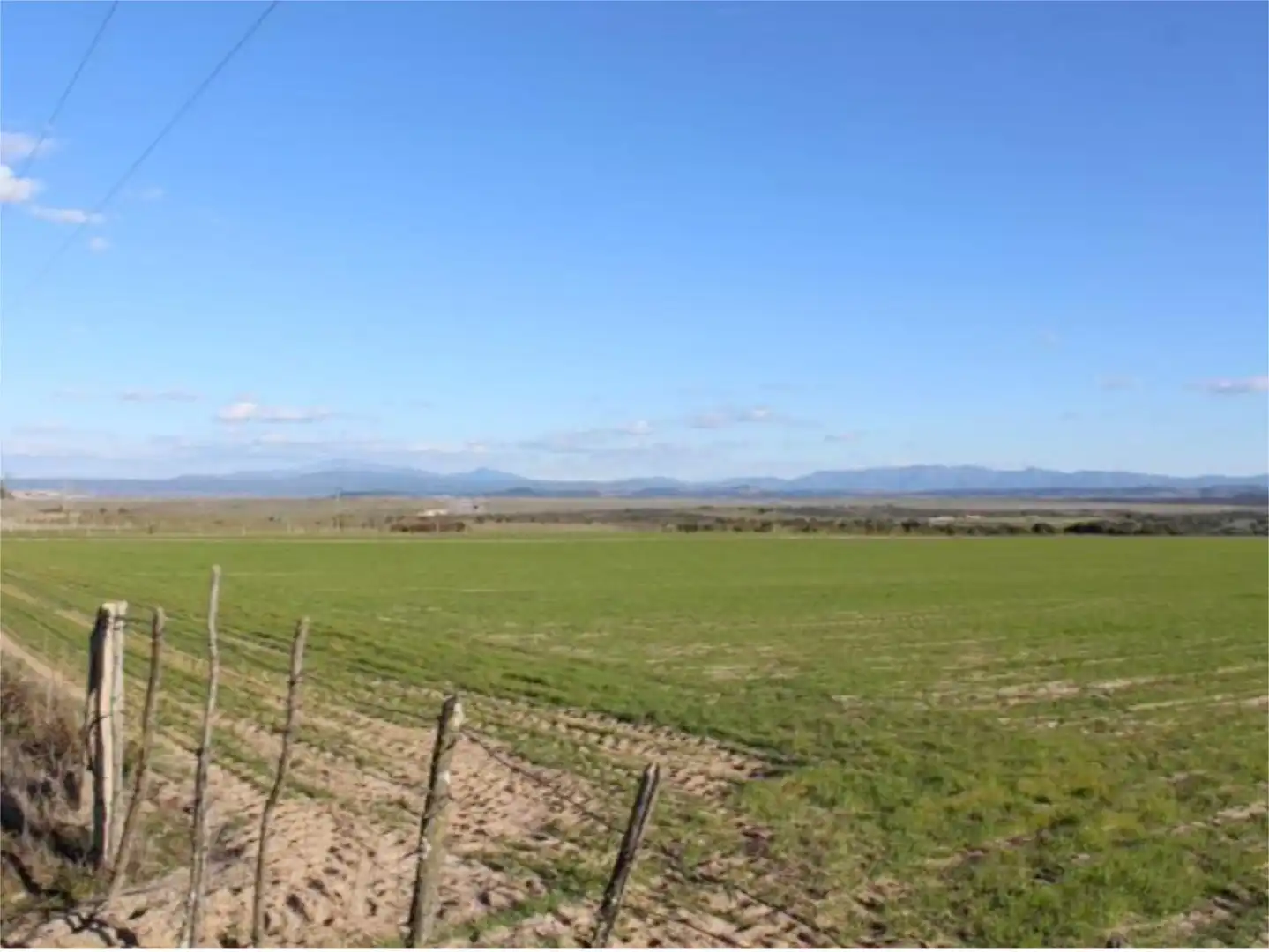 Land for sale in Carpio de Azaba