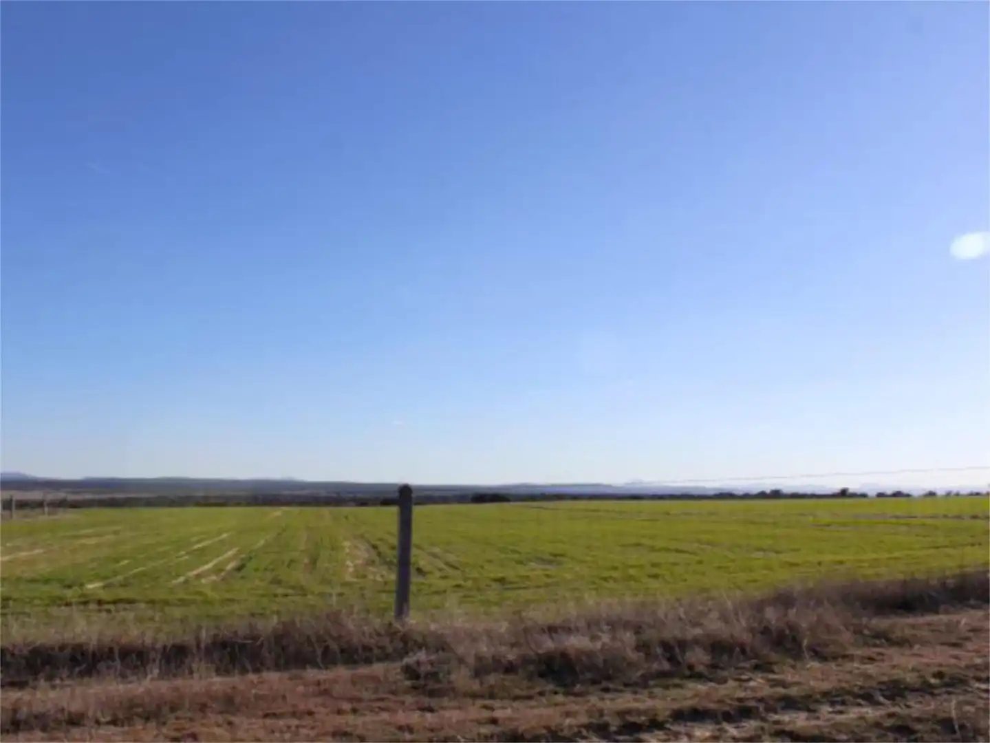Land for sale in Carpio de Azaba