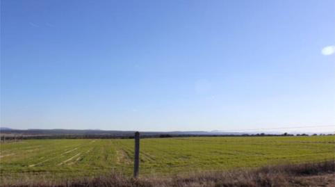 Land for sale in N-620, 335, Carpio de Azaba, Salamanca - image 3 Photo 3 of Land for sale in N-620, 335, Carpio de Azaba, Salamanca