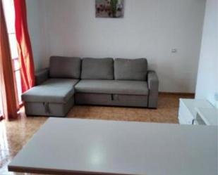 Sala d'estar de Apartament de lloguer en Icod de los Vinos