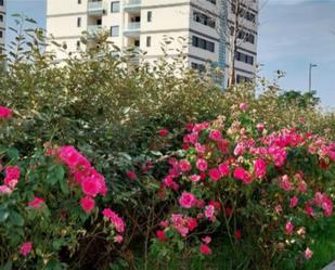 Exterior view of Flat for sale in  Madrid Capital  with Air Conditioner, Terrace and Swimming Pool