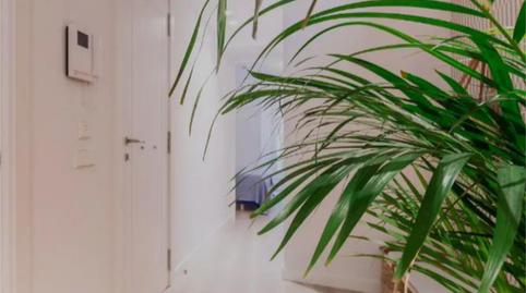 Flat for sale in Carrer Dels Alemanys, 3, Centre - Barri Vell, Girona - image 4 Photo 4 of Flat for sale in Carrer Dels Alemanys, 3, Centre - Barri Vell, Girona