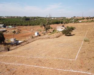 Land for sale in Alcalá de Guadaira