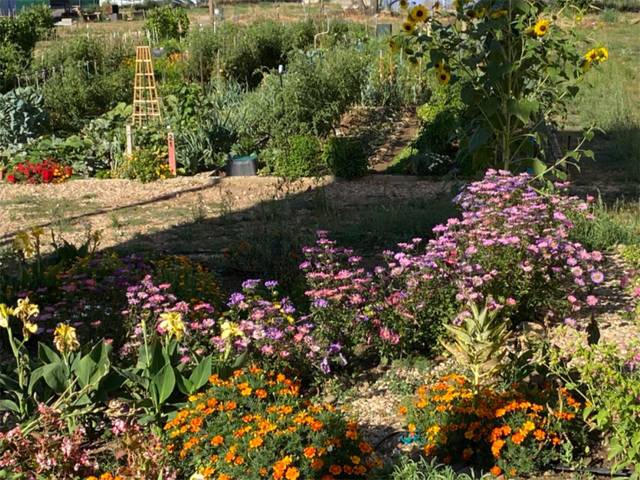 Terreno en Venta en Camino Cinco, 6 en San Justo de la Vega