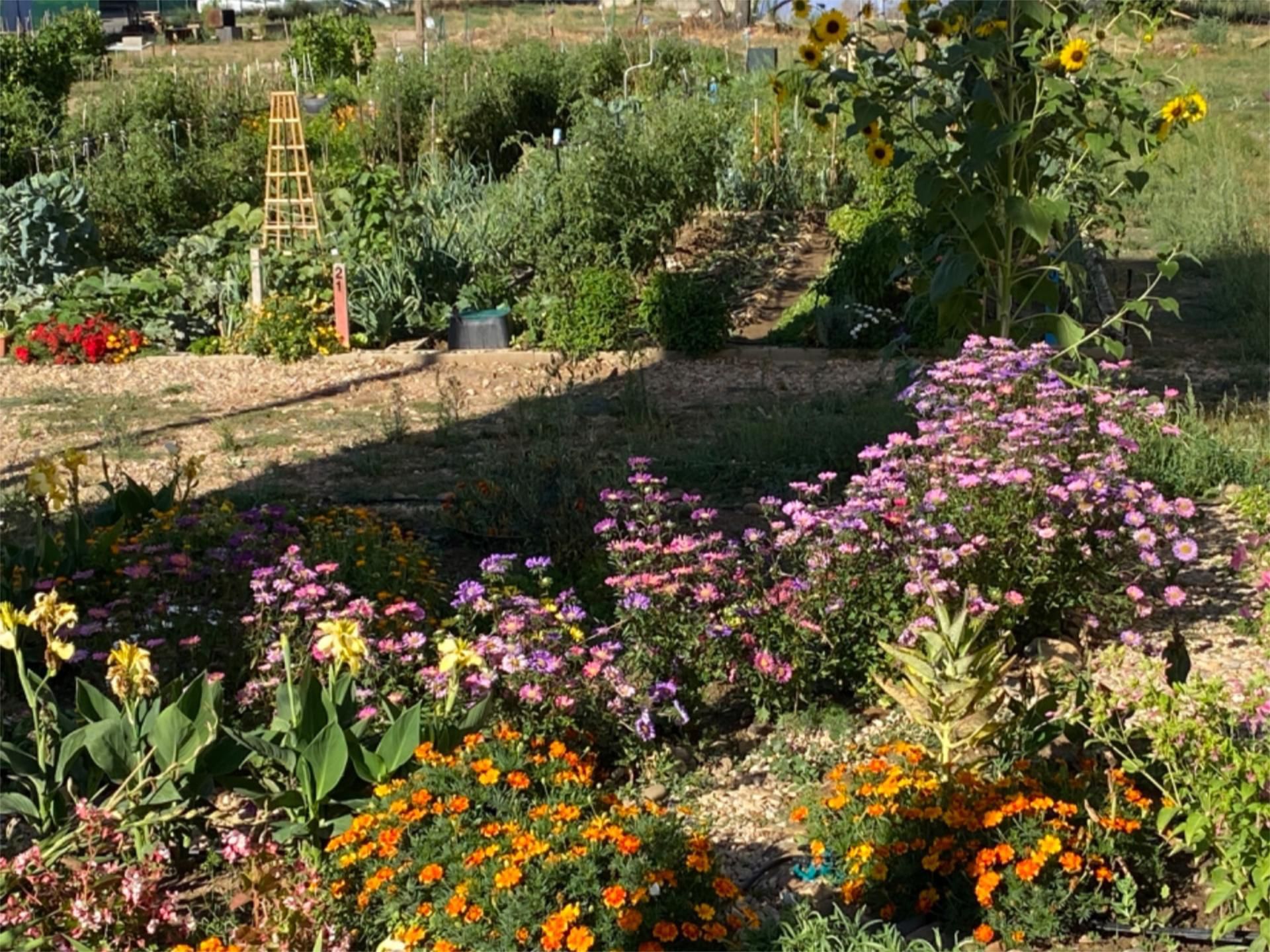 Garden of Land for sale in San Justo de la Vega