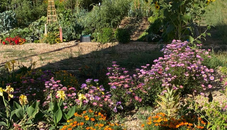 Grundstücke zum Verkauf in Camino Cinco, 6, San Justo de la Vega, León - Bild 1 Foto 1 von Grundstücke zum Verkauf in Camino Cinco, 6, San Justo de la Vega, León