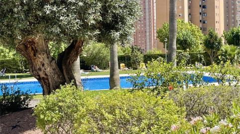 Pis de lloguer a Avenida del Municipi, 14, Juzgados - Plaza de Toros, Alicante - imatge 5 Foto 5 de Pis de lloguer a Avenida del Municipi, 14, Juzgados - Plaza de Toros, Alicante