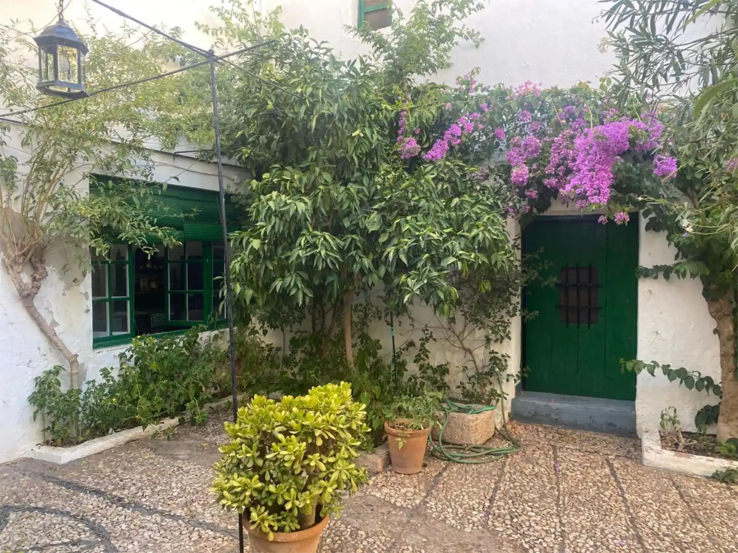 Vista exterior de Planta baixa en venda en Fuente del Maestre amb Jardí privat, Terrassa i Traster