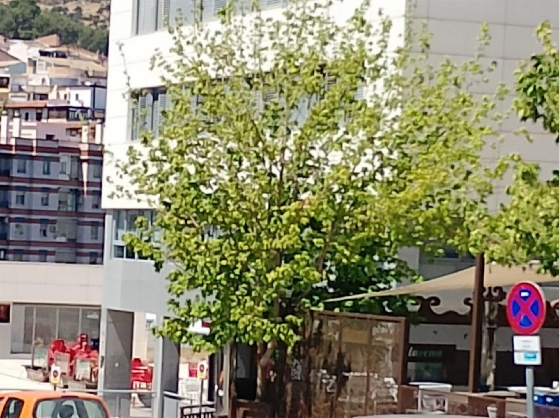 Flat for sale in Calle Rafael Pérez del Álamo, 22, Loja Exterior view of Flat for sale in Loja with Air Conditioner