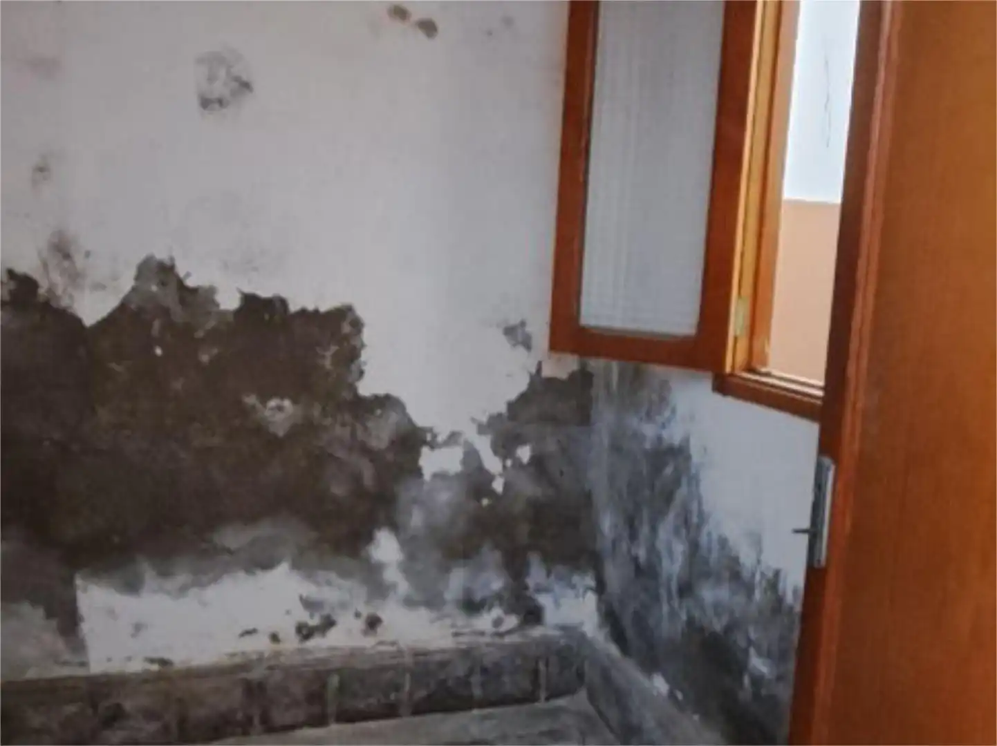 Casa o xalet en venda a Calle Bernardo de la Torre, 11, Santa Catalina - Canteras Dormitori de Casa o xalet en venda en Las Palmas de Gran Canaria amb Terrassa