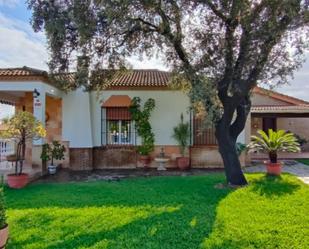 Jardí de Casa o xalet en venda en Gerena amb Aire condicionat, Terrassa i Piscina