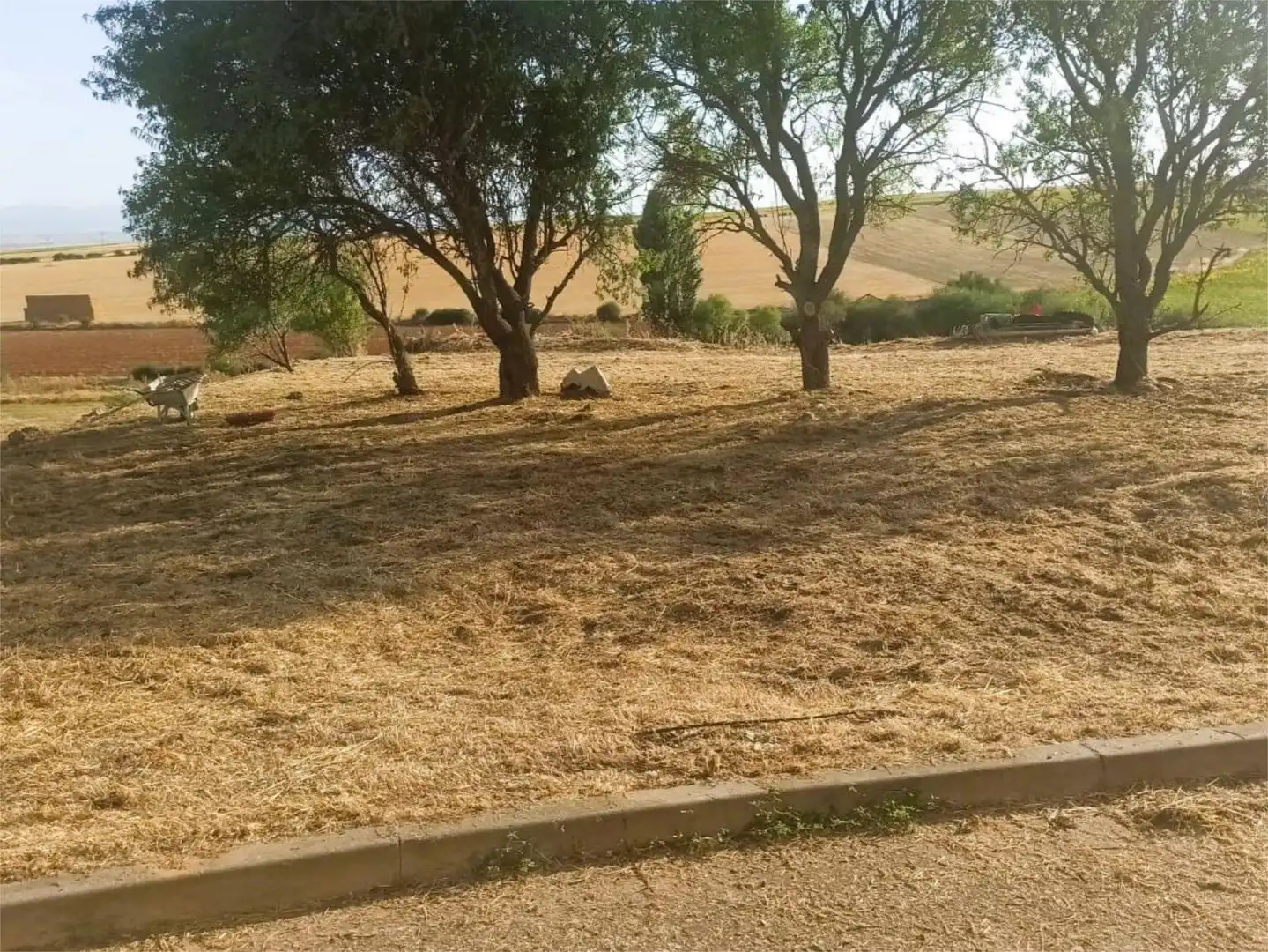 Bebaubares Gelände zum Verkauf in Encinas