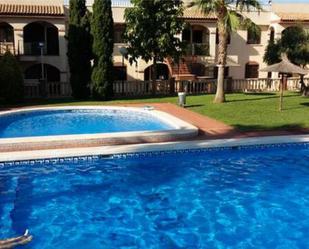 Swimming pool of Flat to rent in Torrevieja  with Terrace and Swimming Pool