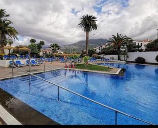 Swimming pool of Study to rent in Puerto de la Cruz