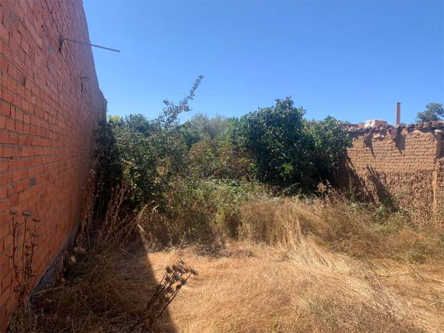 Finca rústica en Venta en Calle el Molino, 11 en Maire de Castroponce