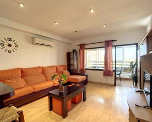 Living room of Flat to rent in  Almería Capital  with Air Conditioner, Terrace and Swimming Pool