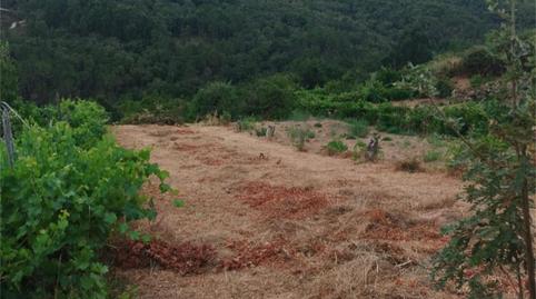 Foto 4 de Pis en venda a Avenida de Buenos Aires, 210, Universidad, Ourense Capital