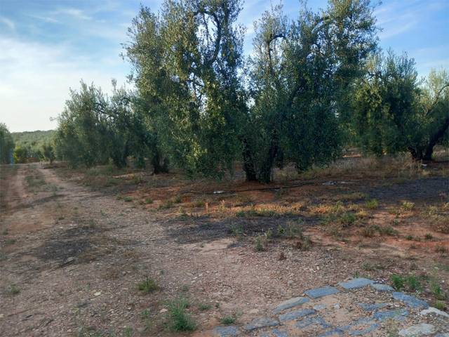 Terreno en Venta en Calle Lope de Vega, 4 en Pilas