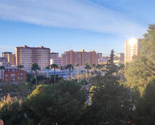 Flat to rent in Avenida de Aguilera, 70, San Fernando - Princesa Mercedes