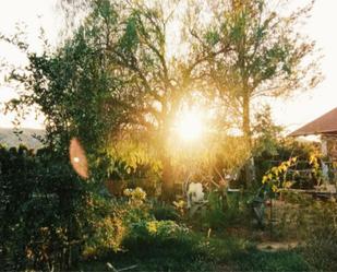 Jardí de Finca rústica en venda en Pedralba amb Aire condicionat, Terrassa i Piscina