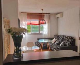 Living room of Flat to rent in Alhendín  with Terrace and Swimming Pool