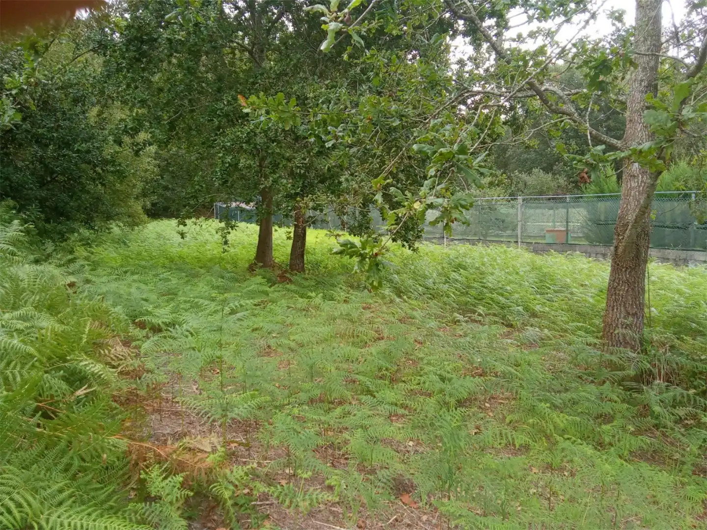 No Urbanizable en venta en Bueu
