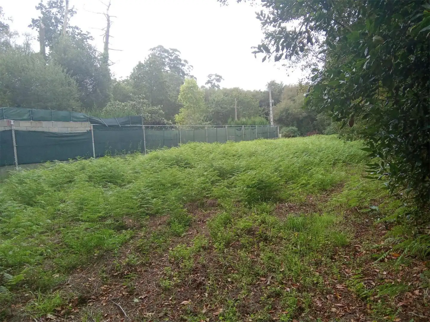 No Urbanizable en venta en Bueu