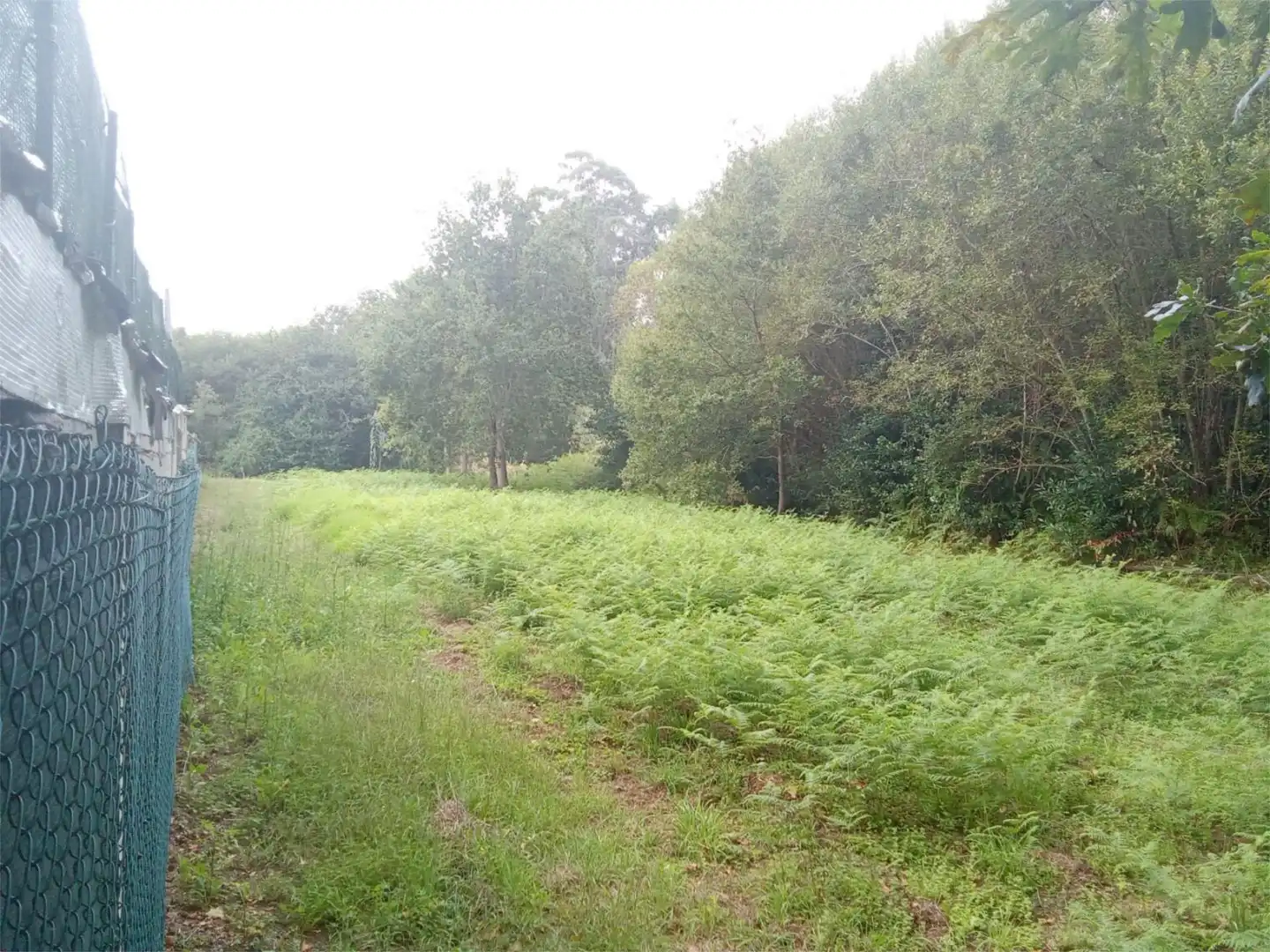 No Urbanizable en venta en Bueu