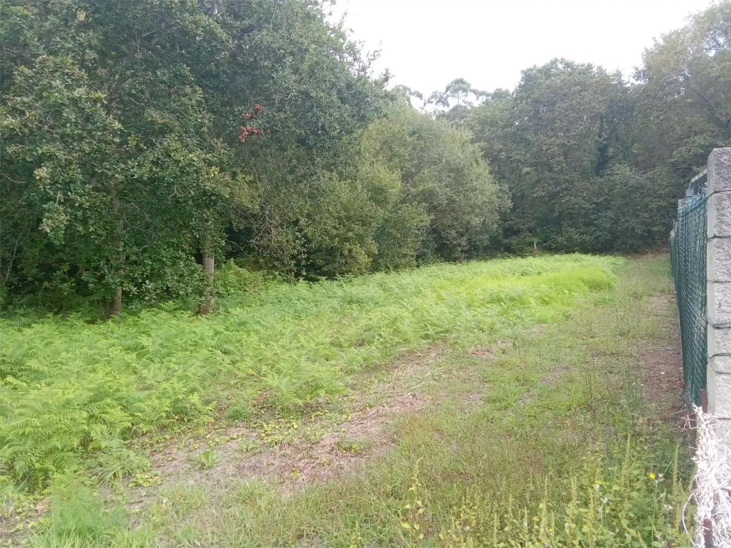 No Urbanizable en venta en Bueu