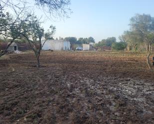 Finca rústica de lloguer en Medina-Sidonia