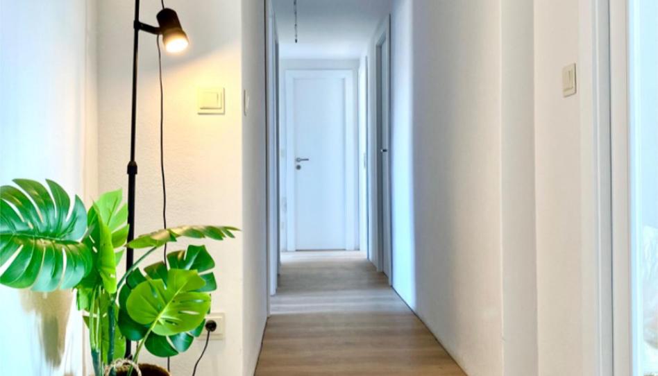 Photo 1 of Flat to share in Carrer del Bisbe Irurita, 12, Joc de la Bola - Camps d'Esports, Lleida