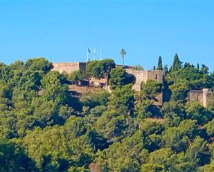 Exterior view of Single-family semi-detached for sale in Málaga Capital  with Swimming Pool